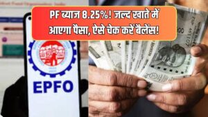 PF पर अब मिलेगा 8.25% ब्याज! जल्द आएगी खाते में रकम, ऐसे चेक करें अपने खाते का बैलेंस