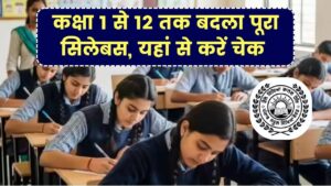 PSEB Syllabus 2025: कक्षा 1 से 12 तक बदला पूरा सिलेबस, यहां से करें पूरा सिलेबस डाउनलोड